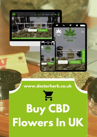 Buy CBD Flowers in UK - Doctor Herb