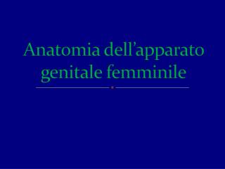 Anatomia dell’apparato genitale femminile