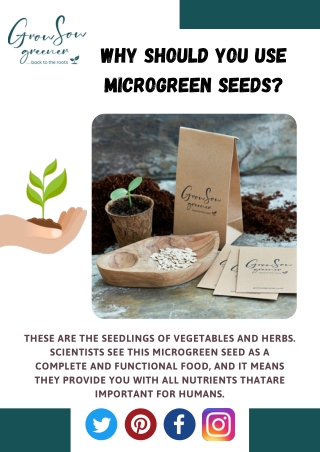 Why Should You Use Microgreen Seeds?
