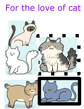 For the love of cats