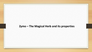 zymo-the-magical-herb-and-its-properties