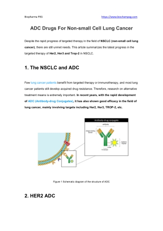 ADC Drugs For Non-small Cell Lung Cancer