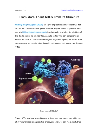 Learn More About ADCs From Its Structure