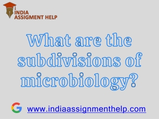 Advantage India Assignment Help Brings to Your Assignment?