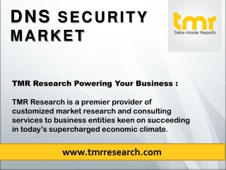 DNS Security Market :Emerging Trends
