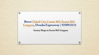 Breez Global City Centre 88A Sohps Sector 88A Gurgaon