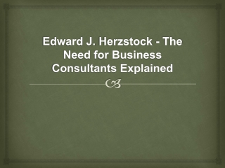 PPT - Edward J. Herzstock - The Need for Business Consultants Explained