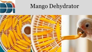 Mango Dehydrator