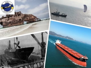 Dry Bulk Shipping Companies