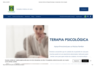 Sesiones Online De Terapia Psicológica | Home Hospital