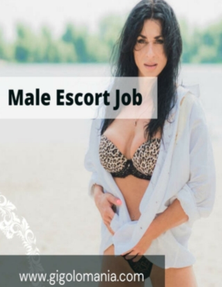 Meaning of male escort and its aspects inside of field job