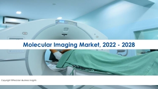 Molecular Imaging Market In-Depth Analysis, Size And Forecast To 2028