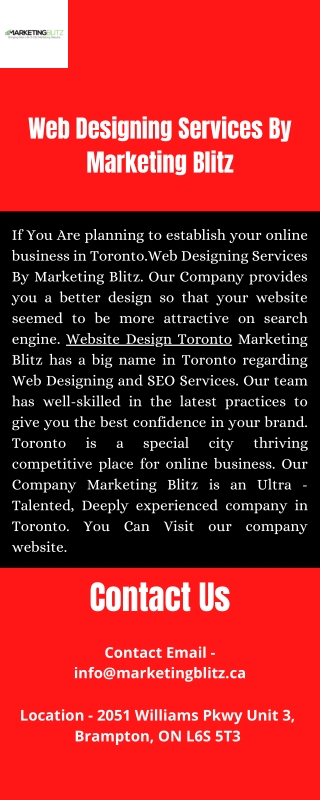 Web Designing Services By Marketing Blitz