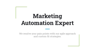 Marketing Automation Expert | Transfunnel