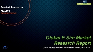 E-Sim Market Research Report By Business Scope, Revenue, Major Drivers