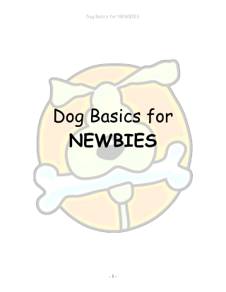 Dog Basics for Newbies