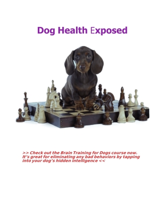 Dog Health Exposed