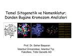 Temel Sitogenetik ve Nomenklatur; D nden Bug ne Kromozom Analizleri