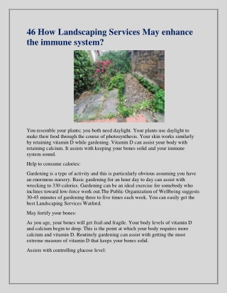 Best Commercial Landscaping Services in Watford.
