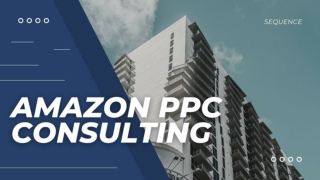 Amazon PPC Consulting