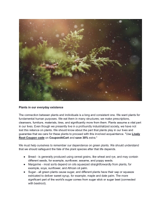 Plants in our everyday existence