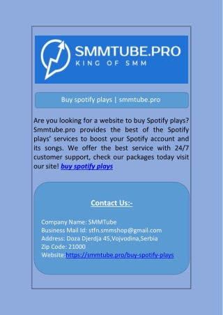 Buy spotify plays | smmtube.pro