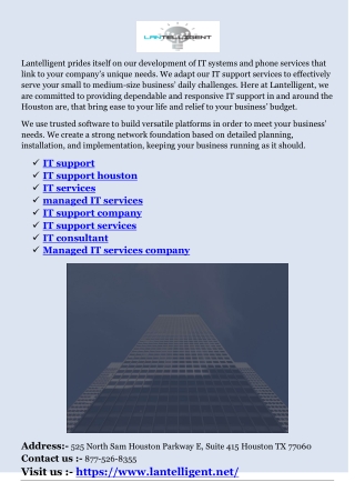 IT support services