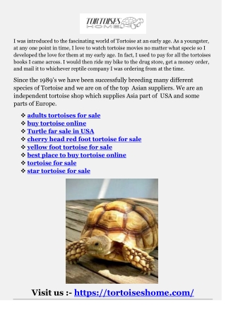 best place to buy tortoise online