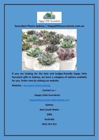 Succulent Plants Sydney | Happylittlesucculents.com.au