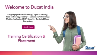 Software Testing Online Training Courses for Beginners