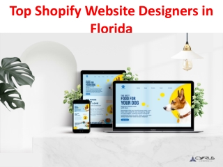Top Shopify Website Designers in Florida