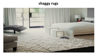 shaggy rugs