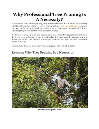 Why Professional Tree Pruning Is A Necessity_