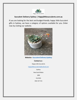 Succulent Delivery Sydney Happylittlesucculents.com