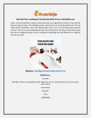 Best Cat Toys Leading Cat Toy Brands Best Prices Homnilife.com