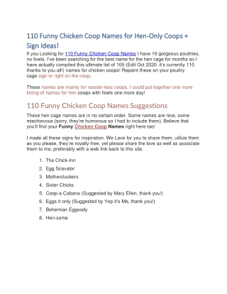 110 Funny Chicken Coop Names for Hen