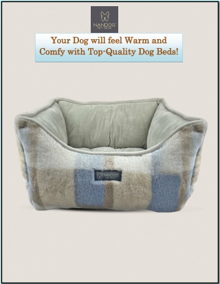 Your Dog will feel Warm and Comfy with Top-Quality Dog Beds!