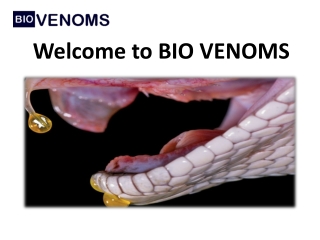 Buy Hypnale Hypnale Venom Online - BIO VENOMS