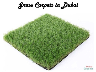 Grass Carpet in Dubai