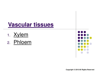 Transport in Plants (part 2): Xylem, phloem and absorption of water & mineral salts