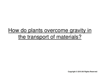 Transport in Plants (part 3): The three mechanisms in water transport & wilting