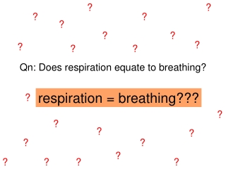 Respiration in Humans (part 2): Gaseous exchange & lung capacity