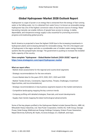2021 Hydropower Industry Global Analysis Report