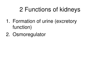 Excretion in Humans (part 3): The two functions of the kidneys & kidney failure