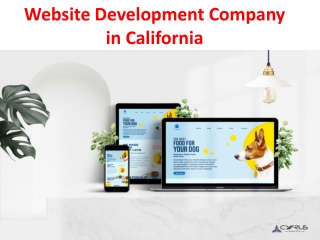 Website Development Company in California