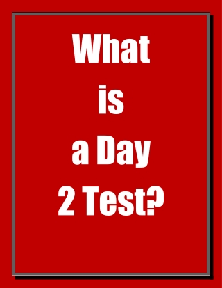 What is a Day 2 Test