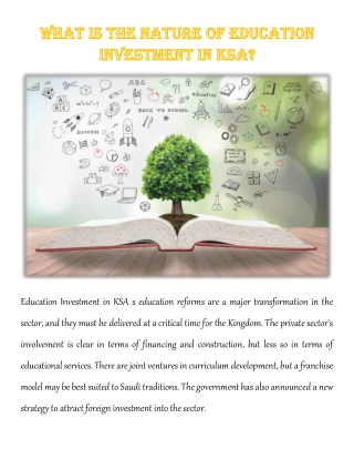 What Is the Nature of Education Investment In KSA?