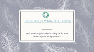 Black Box vs White Box Testing