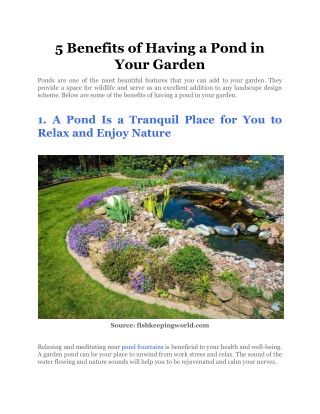 5 Benefits of Having a Pond in Your Garden