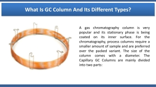What Is GC Column And Its Different Types